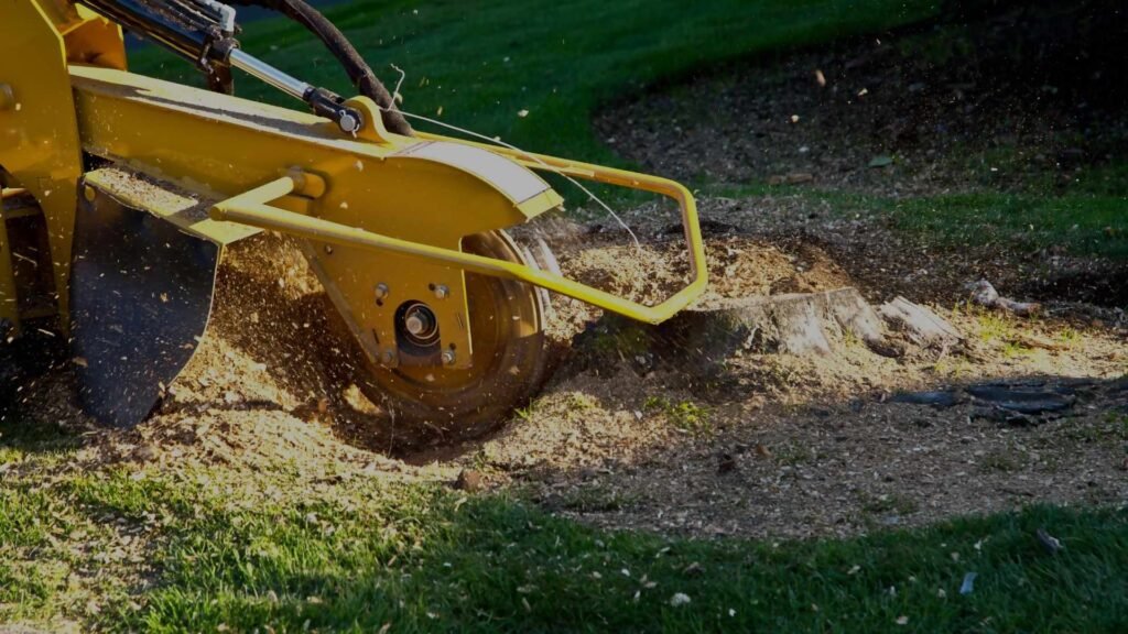 stump grinding services