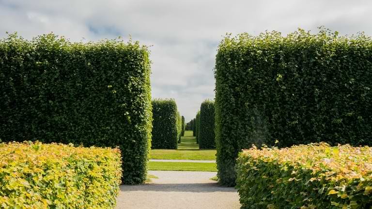 ozreelo hedge trimming brisbane area