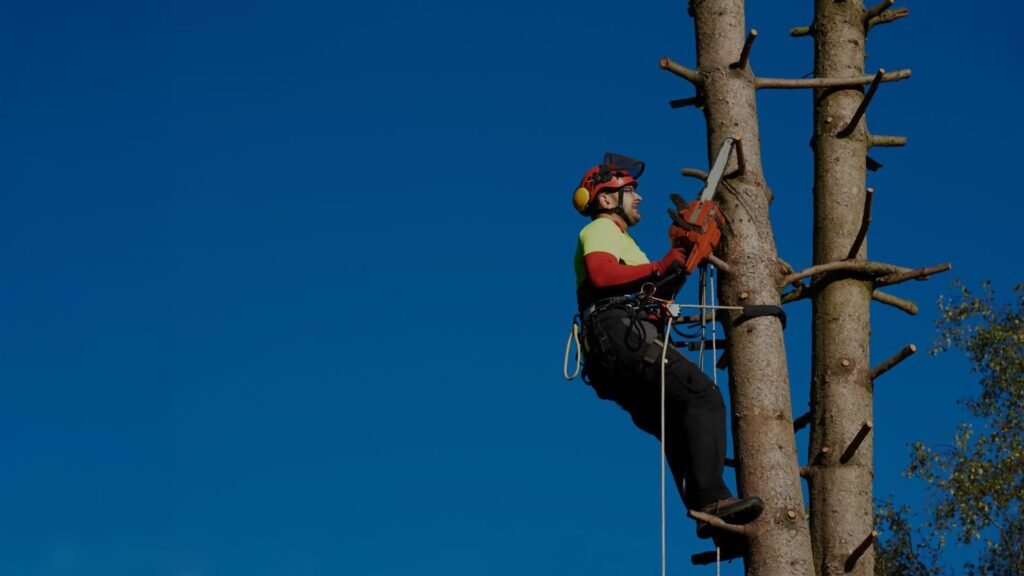 tree cutting services