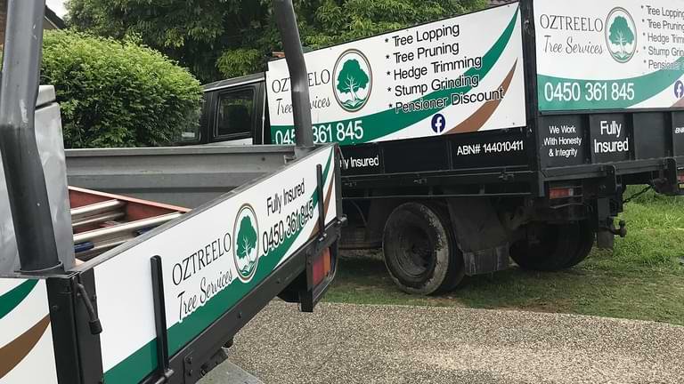 tree lopping and tree removal brisbane area