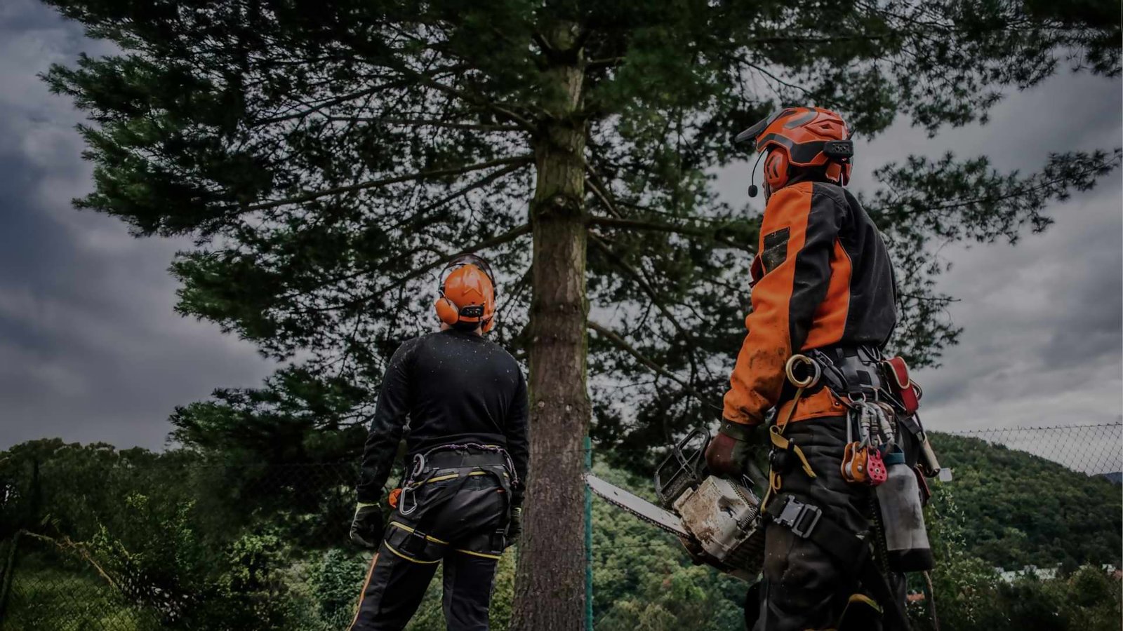 tree cutting services