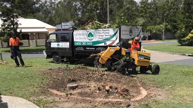 stump grinding brisbane area