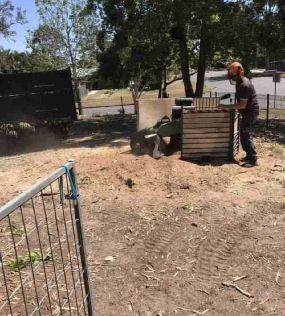 brisbane tree stump grinding
