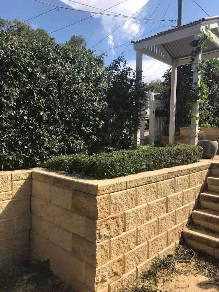 hedge trimming forestlake